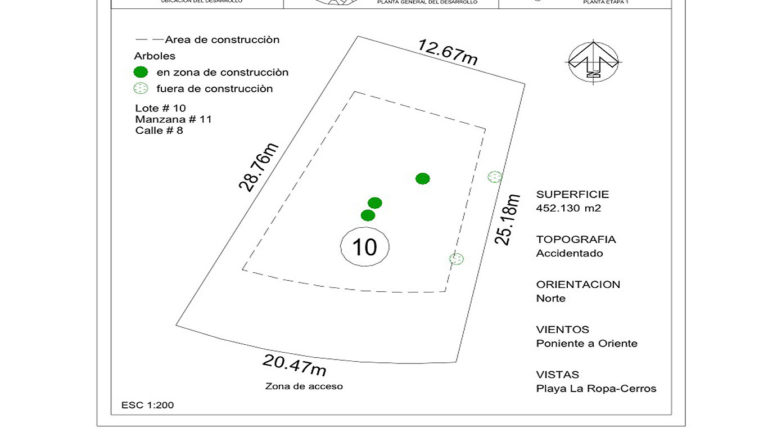 lote10